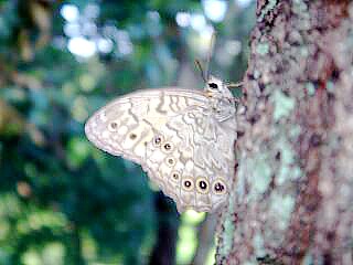 f0000521_922147.jpg