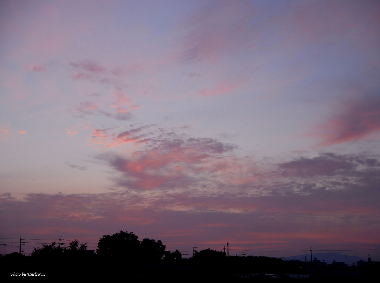 e0028625_7191982.jpg