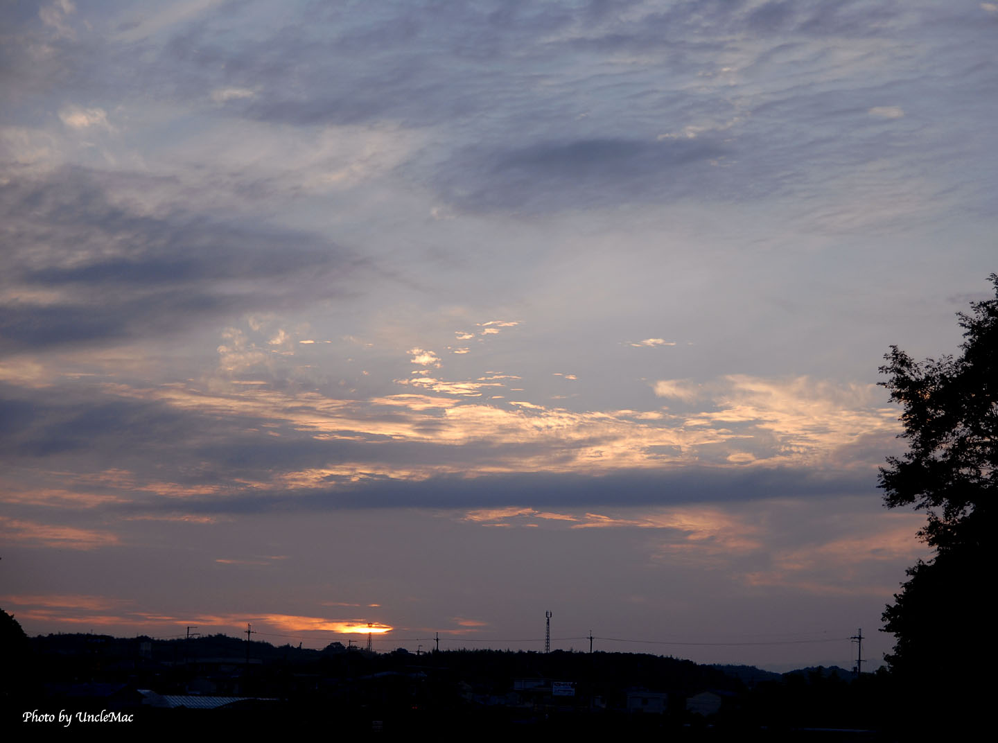 e0028625_720576.jpg