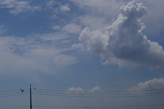 c0045129_23241486.jpg