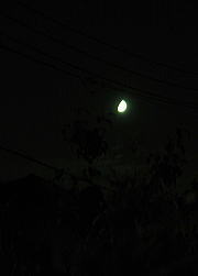 f0042135_23411752.jpg