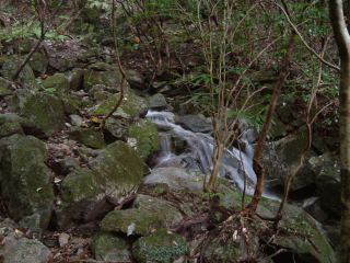 c0077338_23212675.jpg