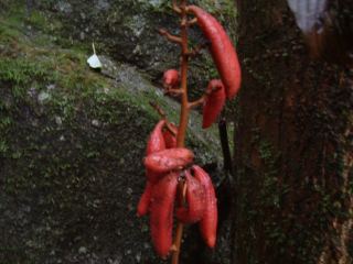 c0077338_23274453.jpg