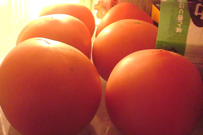 c0006445_0142068.jpg
