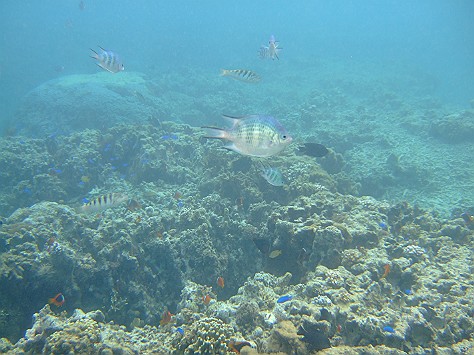 c0022748_16493132.jpg