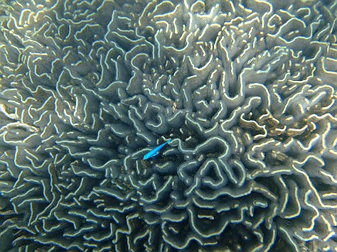 c0022748_16585615.jpg
