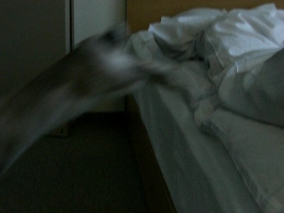 f0104057_22495721.jpg