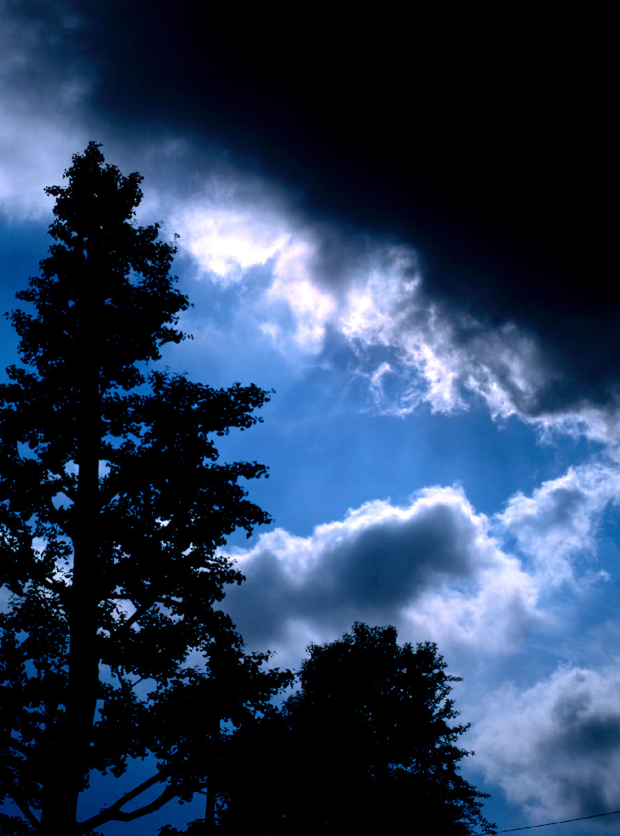 d0032258_812373.jpg