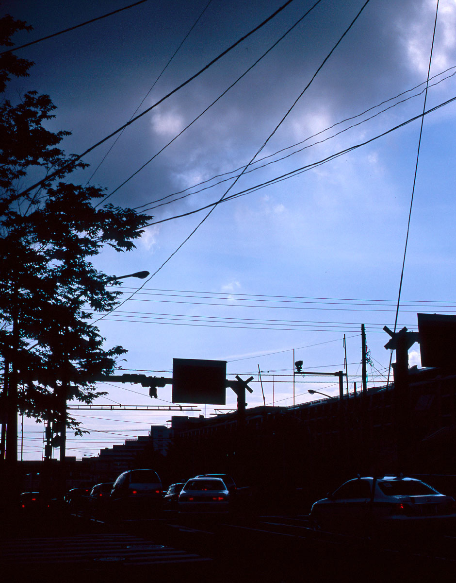 d0032258_813441.jpg