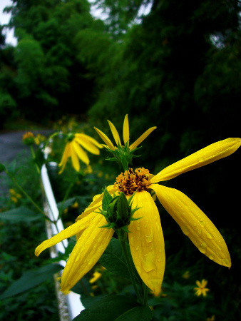 b0015260_12453553.jpg