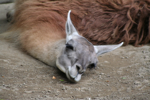 e0086860_0563557.jpg