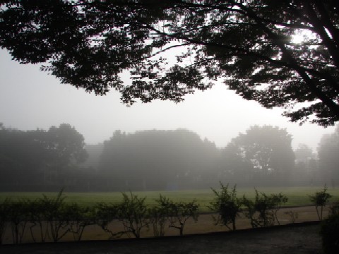 b0061261_2136858.jpg