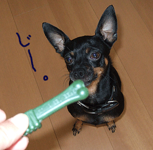 c0012571_1453881.gif