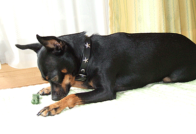 c0012571_1454638.gif