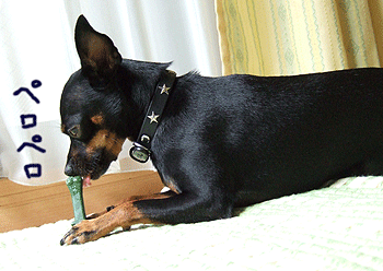 c0012571_14552023.gif