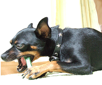 c0012571_1523081.gif