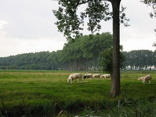 d0046772_4575697.jpg