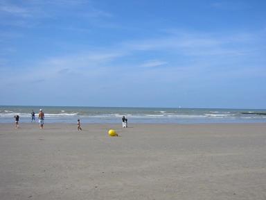 d0046772_5302541.jpg