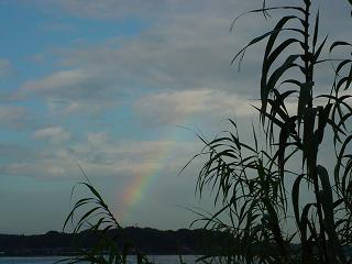 b0095981_21563569.jpg