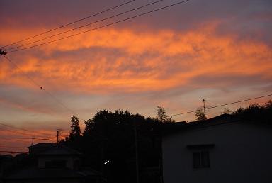 d0064990_6403595.jpg