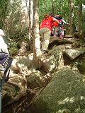 b0092794_1859078.jpg