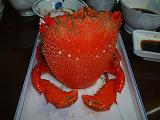 b0092794_2013084.jpg