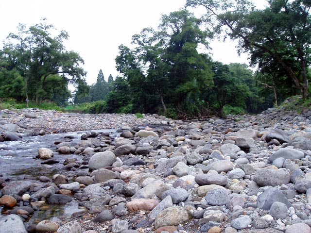 a0043395_13345189.jpg