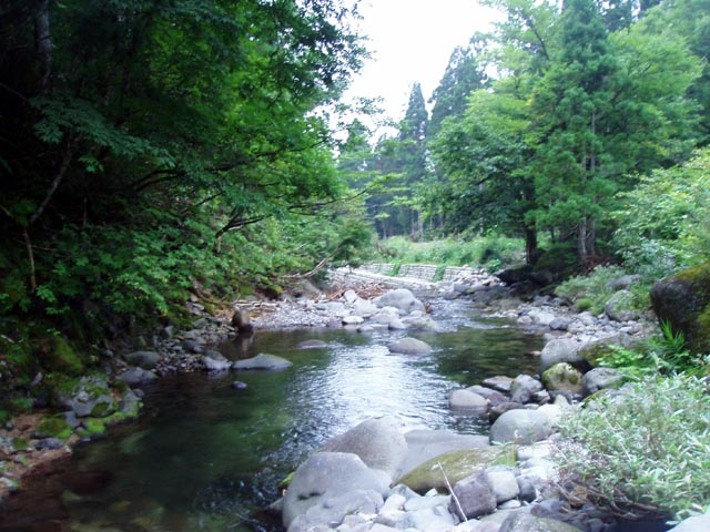 a0043395_13451129.jpg
