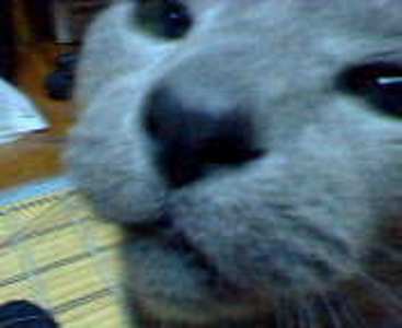 d0082695_20543070.jpg