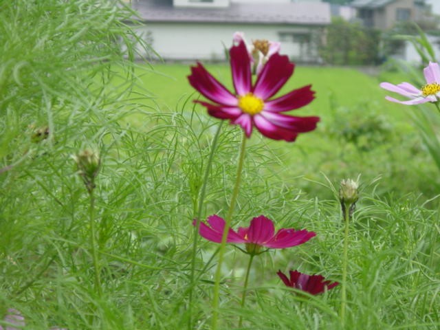 b0083902_145896.jpg