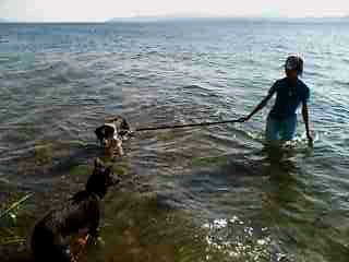 f0090009_22423188.jpg