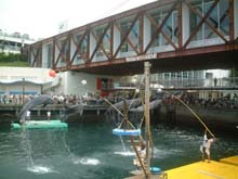 e0015010_21312987.jpg