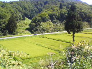 b0049016_14363670.jpg
