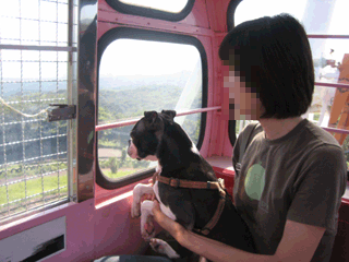 e0080117_2144818.gif
