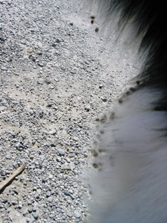 b0085331_2157528.jpg