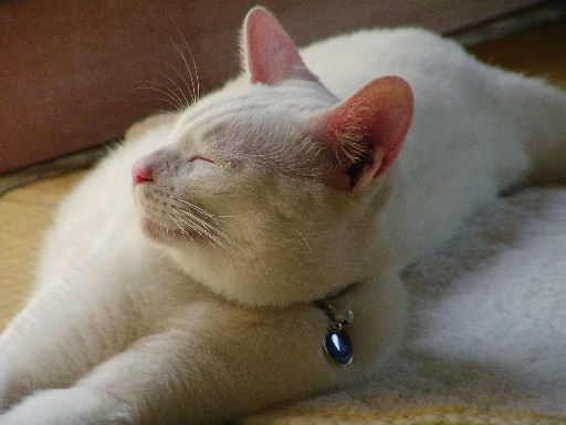 f0002833_2355359.jpg