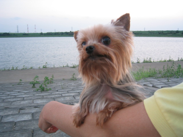 e0051636_20463432.jpg