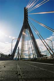c0003941_2330255.jpg