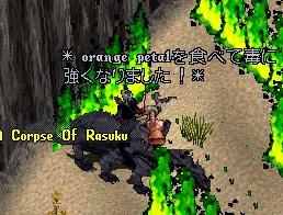 e0037343_6365458.jpg
