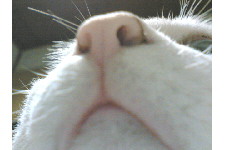 c0011446_15283153.jpg
