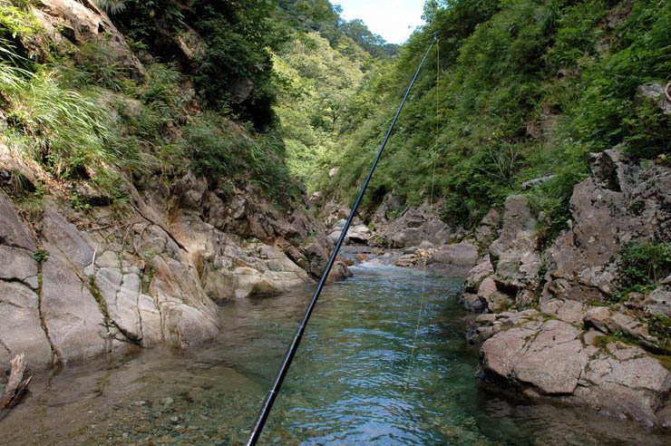c0077847_17262265.jpg