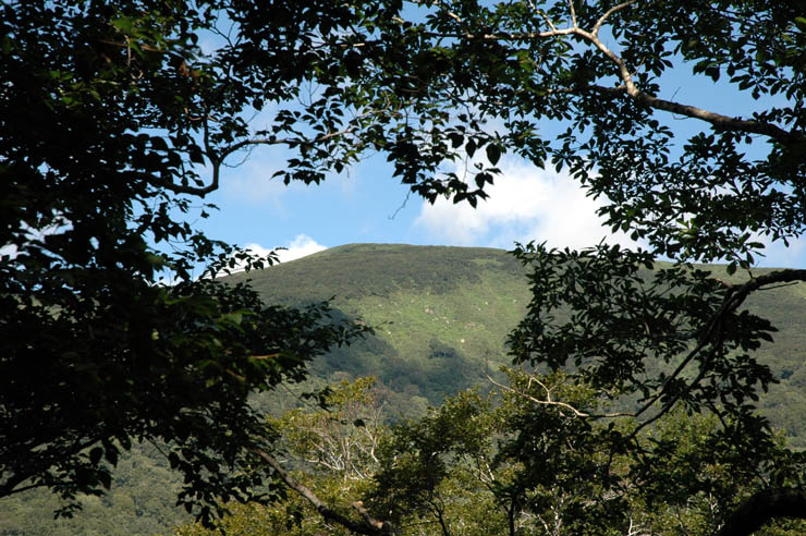 c0077847_17375833.jpg