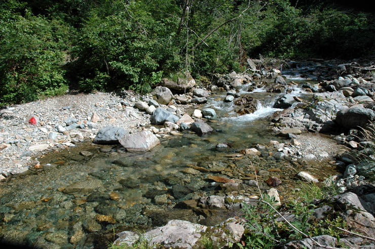 c0077847_17382262.jpg