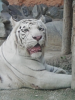 b0019349_16454937.jpg