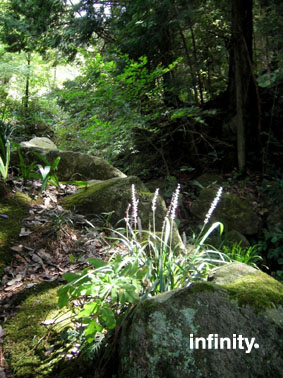 c0069552_2341875.jpg