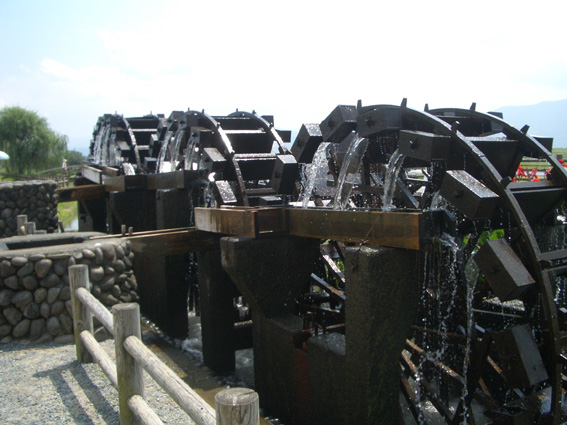 b0002156_04724.jpg