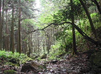 c0032256_1111371.jpg