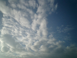 f0045956_18291579.jpg