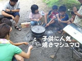 f0061056_11543586.jpg