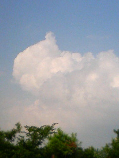 f0104057_22322490.jpg